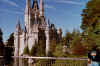 Disneys_Castle.jpg (443789 bytes)