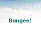  Bungee! 