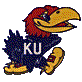 University of Kansas Jayhawk