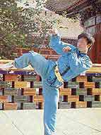 Mei Hua Tang Lang Quan