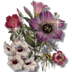 5143flower.gif (15831 bytes)