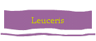 Leuceris