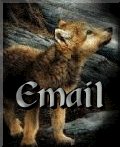 email pic of wolf cub