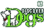 Discover Dogs Magazine