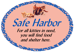 Safe Harbor Logo