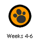 Weeks 4-6