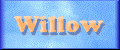 Go see Willow!