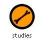 studies