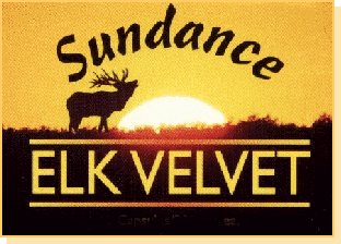 Sundance Elk Velvet