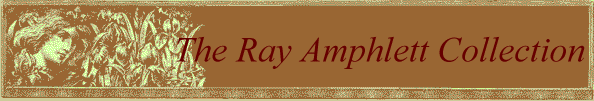 The Ray Amphlett Collection