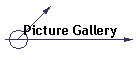Picture Gallery