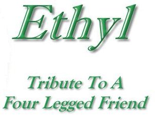 Ethyl, Tribute To A Four Legged Friend