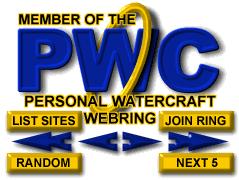 pwc_nav.gif (14627 bytes)