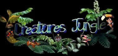 Creatures Jungle