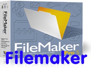 Find out all about programming in Filemaker Pro...