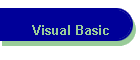 Visual Basic
