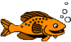 gold fish animations