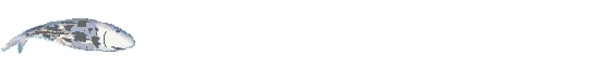whale animation