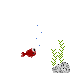 fish and weed animation