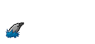 dolphin jumping animations