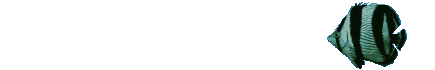 marine fish animation