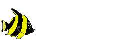 black and yellow fish animations