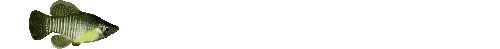 fish animations
