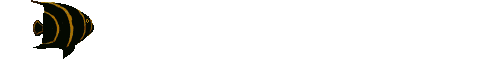 angel fish animations