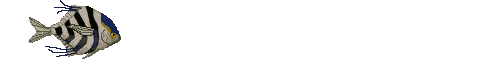 striped fish animations