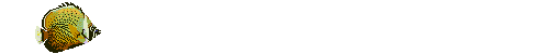 tropical fish animations