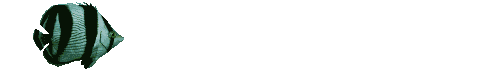 striped fish animations