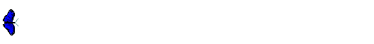  Butterfly Animation