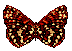  Butterfly Animation