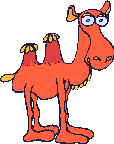 camel  animation