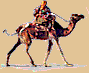 camel  animation