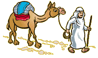 camel  animation