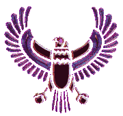 egyptian falcon  animation