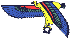 falcon  animation