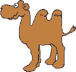 camel  animation