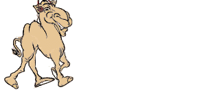 camel   animation