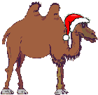 xmas camel  animation