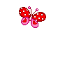  butterfly drawing a heart  animation
