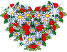  flowers and roses  animation