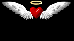  heart and wings animation