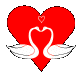  two swans and heart  animation