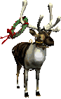 reindeer animation