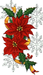 christmas decoration   animation