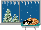 snow scene window and sleeping cats   animation