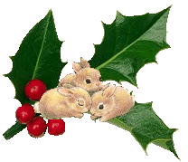  rabbits and holly  animation