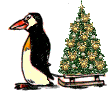  penguin pulling a christmas tree  animation